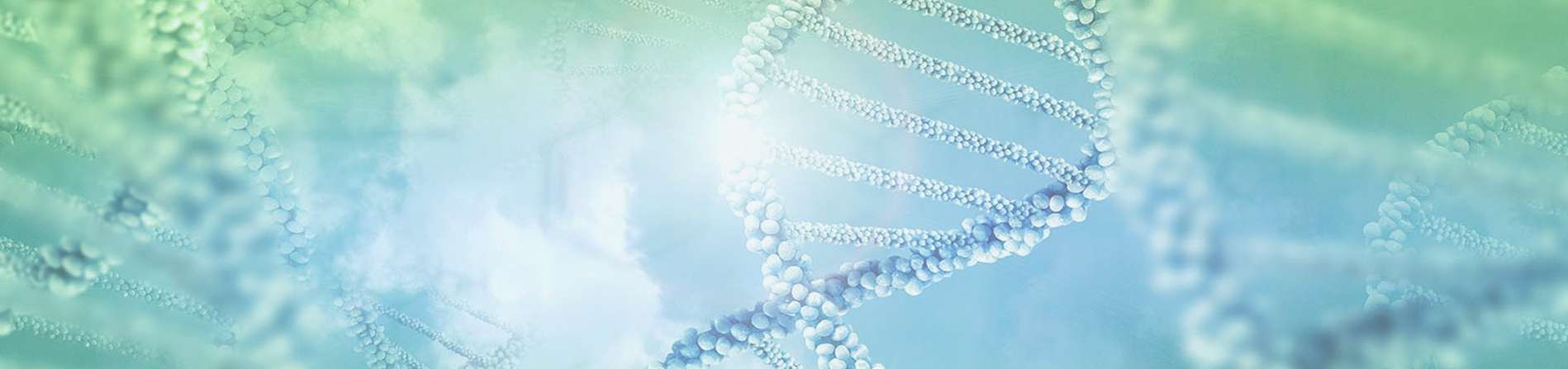 About Us 2MG Inc. - Pharmaceutical Services Philippines